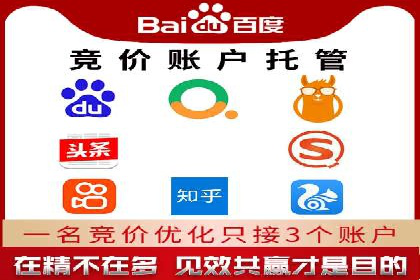 探索百度竞价代理的未来发展趋势与挑战